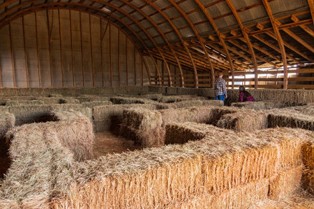 Sunny view of the fun Daze in a Maze at Oklahomaのeditorial素材