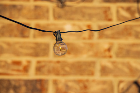 Close up shot of a bulb at Oklahoma