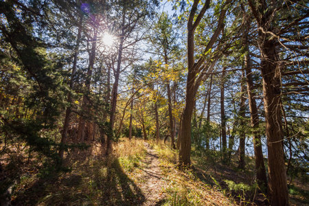 Sunny view of the landscape inside the Boiling Springs State Park at Oklahoma