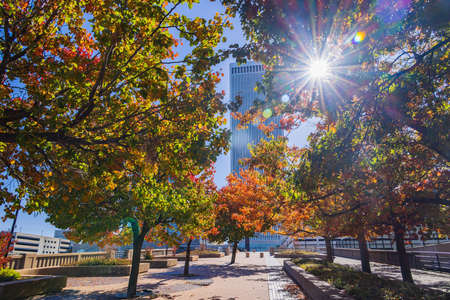 Sunny view of downtown fall color cityscape at Tulsa, OKlahomaの写真素材