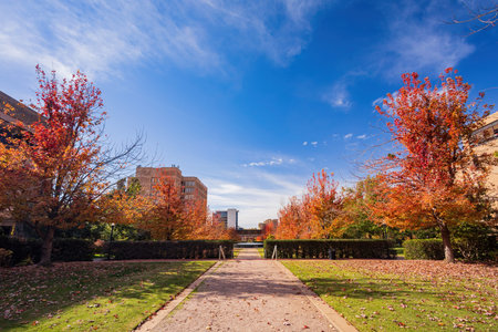 Beautiful fall color of the health sciences campus, University of Oklahoma at Oklahoma