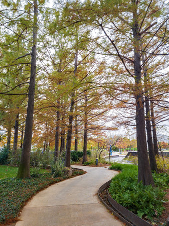 Overcast view of the garden of Myriad Botanical Gardens at Oklahoma
