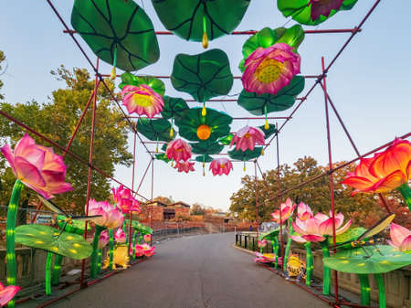 Oklahoma, NOV 9 2021 - Night of the Oklahoma City Zoo of Safari Lightのeditorial素材