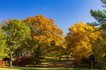 Beautiful fall color in the famous Philbrook Museum of Art at Tulsa, Oklahomaのeditorial素材
