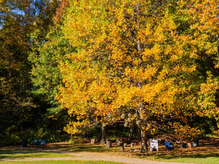 Beautiful fall color in the famous Philbrook Museum of Art at Tulsa, Oklahomaのeditorial素材