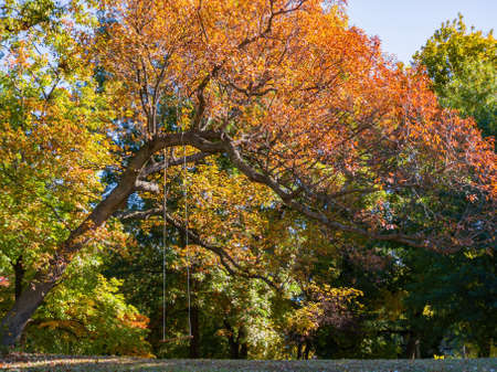 Beautiful fall color in the famous Philbrook Museum of Art at Tulsa, Oklahomaのeditorial素材