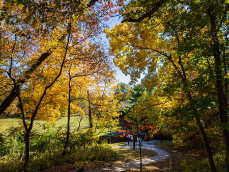 Beautiful fall color in the famous Philbrook Museum of Art at Tulsa, Oklahomaのeditorial素材