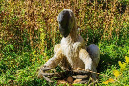 Close up shot of Oviraptor Dinosaur model at Oklahomaのeditorial素材