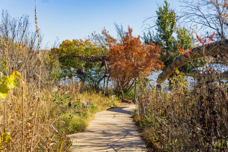 Close up shot of Dinosaur model at Oklahomaのeditorial素材