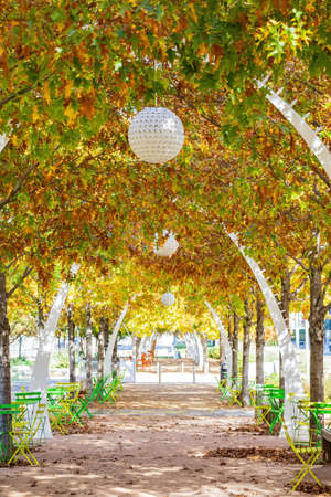 Sunny view of the Klyde Warren Park at Dallas, Texasの写真素材