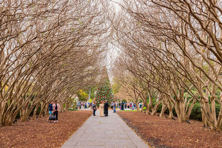 Dallas, NOV 24 2021, Overcast view of the Dallas Arboretum and Botanical Gardenのeditorial素材