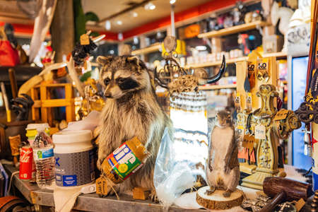 Fort Worth, NOV 27 2021, Interior view of a gift shop with many animal model in Stockyardsのeditorial素材