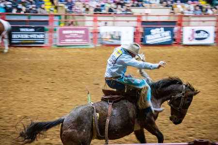 Fort Worth, NOV 27 2021, Saddle bronc and bareback bronc riding competition in the Stockyards Championship Rodeoのeditorial素材