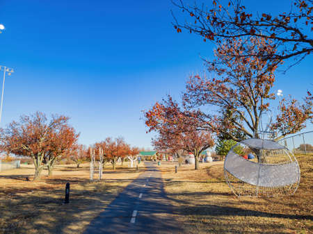 Christmas decoration in Mitch Park at Edmond, Oklahomaのeditorial素材