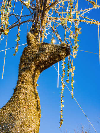Christmas decoration in Mitch Park at Edmond, Oklahomaの写真素材