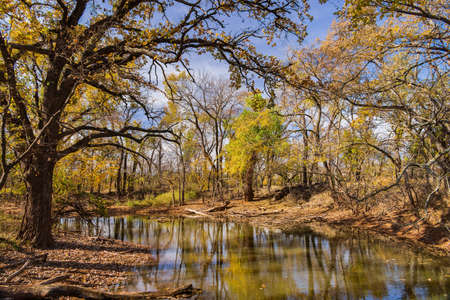 Beautiful fall color of the Martin Park Nature Center at Oklahomaの写真素材