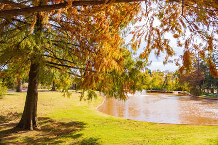 Beautiful fall color of the Will Rogers Gardens at Oklahomaの写真素材