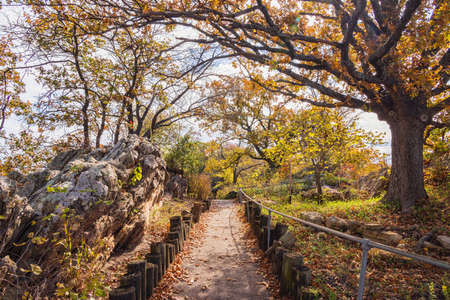 Beautiful landscape of Lake Murray State Park at Oklahomaの写真素材