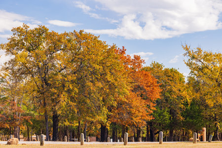 Beautiful landscape of Lake Murray State Park at Oklahoma