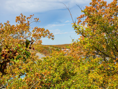 Beautiful landscape of Lake Murray State Park at Oklahoma