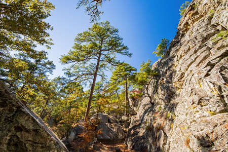 Nature autumn fall color of Robbers Cave State Park at Oklahomaの写真素材