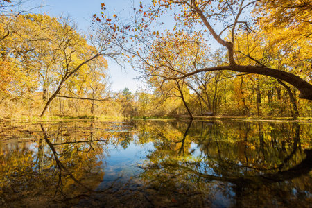 Fall color of the nature trail in Chickasaw National Recreation Area at Oklahomaの写真素材