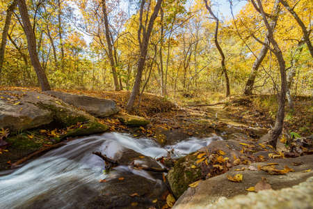 Fall color of the nature trail in Chickasaw National Recreation Area at Oklahomaの写真素材