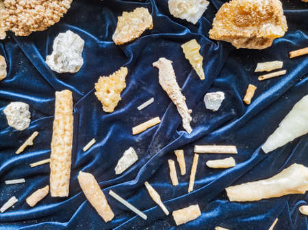 Close up shoot of some fossil stone at Texas, USAのeditorial素材