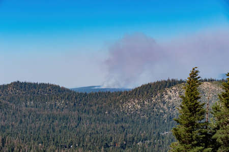 Wild fire with smoke near Mammoth Lakeの写真素材