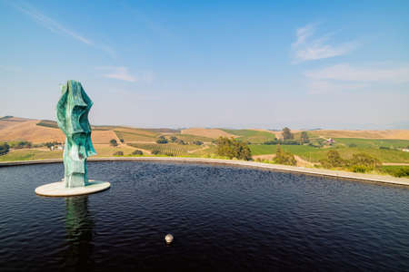 Sunny view of the grapes farm of Napa Valley at San Francisco, Californiaの写真素材