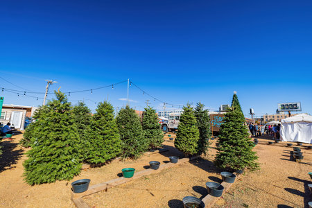 Oklahoma, DEC 5 2021 - Sunny view of a christmas tree selling centerのeditorial素材