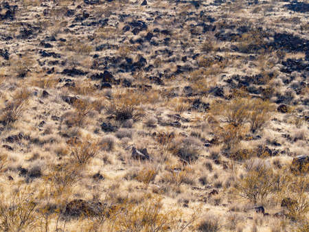 Sunny view of the landscape in Petroglyph Canyon Trail at Las Vegas, Nevadaの写真素材