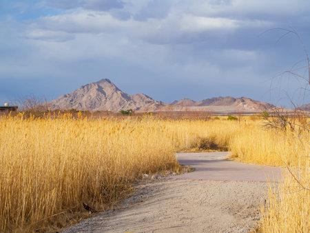 Afternoon sunny view of the landscape of Clark County Wetlands Park at Las Vegas, Nevadaの写真素材