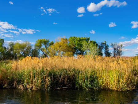 Sunny view of the landscape in Las Vegas Wash at Nevadaの写真素材
