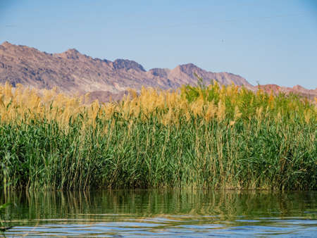 Sunny view of the landscape in Las Vegas Wash at Nevadaの写真素材