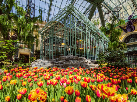 Las Vegas, MAY 12 2021 - Daytime view of the spring theme of Bellagio Conservatory and Botanical Gardensのeditorial素材