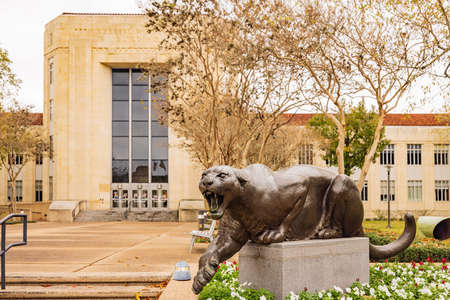 Overcast view of the campus of University of Houston at Texasのeditorial素材