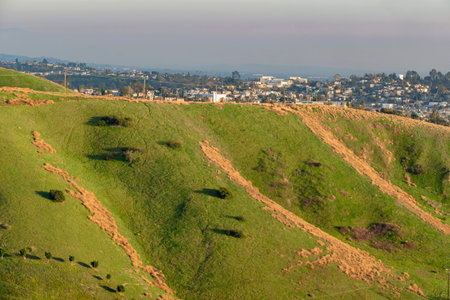 Afternoon landscape of Ascot Hills Park at Los Angelesの写真素材