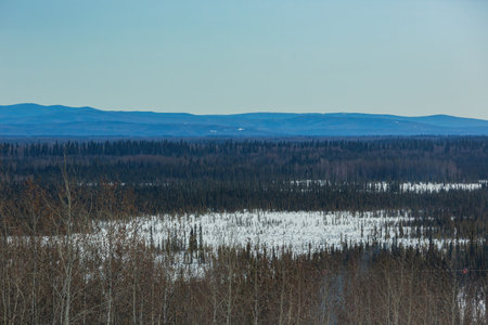 Afternoon landscape in Denali National Park and Preserve at Fairbanks, Alaskaの写真素材