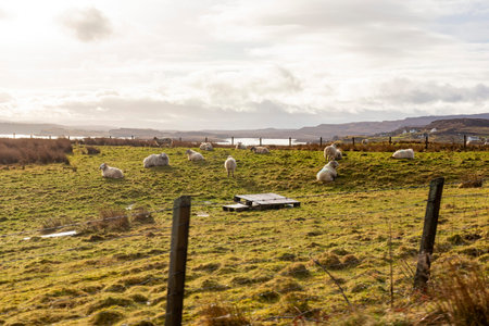 Overcast view of rural landscape at Boreraig, Scotland