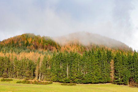 Sunny view of rural landscape at Highland, Scotland