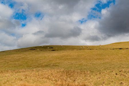 Sunny view of rural landscape at Boreraig, Scotland