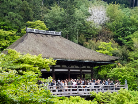 Kyoto, MAY 1 2011 - Overcast view of the famous Kiyomizu dera Temple