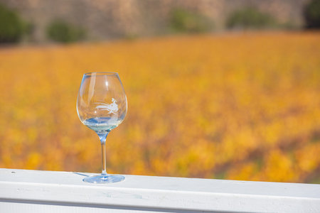 California, NOV 27 2014 - Close up shot of a cup of white wineのeditorial素材