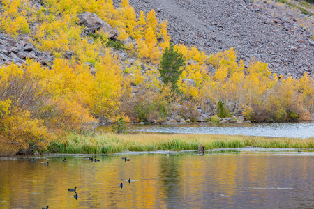 Overcast view of the fall color of Twin Lake of Mammoth Lake at California
