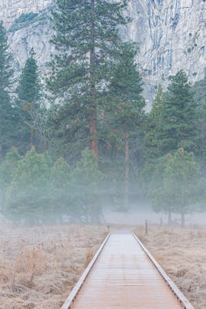 Hazy landscape of the beautiful Yosemite National Park at Californiaの写真素材
