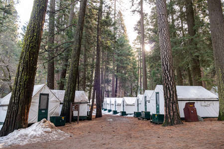 Sunny view of the Curry Village in Yosemite National Park at Californiaのeditorial素材