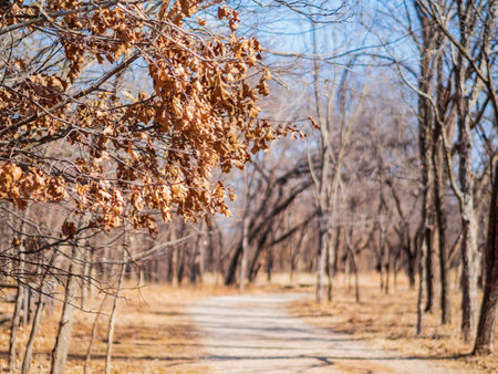 Sunny view of the landscape of Martin Park Nature Center at Oklahoma
