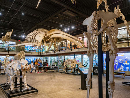 Oklahoma, MAR 3 2022 - Interior view of the Museum of Osteologyのeditorial素材