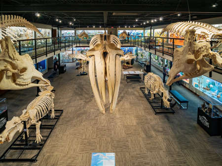 Oklahoma, MAR 3 2022 - Interior view of the Museum of Osteology